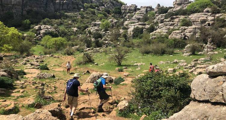 Pequeño grupo caminando a través de terreno rocoso y herboso rodeado de formaciones de piedra caliza apiladas