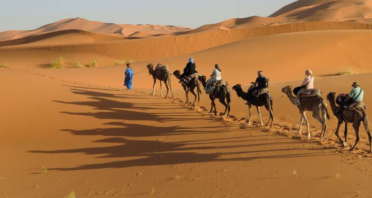 Caravane de chameaux traversant une dune de sable au coucher du soleil.