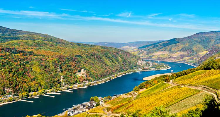 Aerial view of the Rhine River with vineyards along the cliffs.