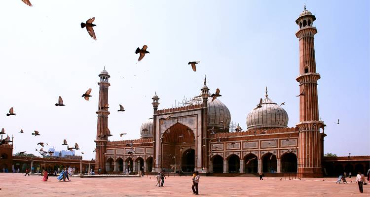 Historic mosque with birds flying around.