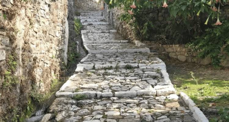 Chemin de pierre menant en montée avec une végétation luxuriante sur les côtés.
