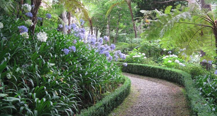 Sentier à travers un jardin luxuriant aux fleurs éclatantes.