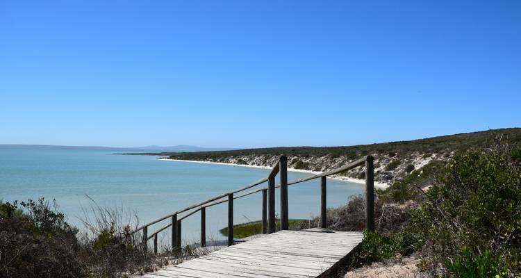 Serene strand met kalme wateren en een houten pad.