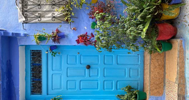 Porte bleue éclatante avec des plantes en pot et des balustrades décoratives.