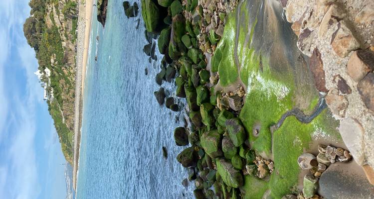 Scène côtière avec rochers verts et océan.