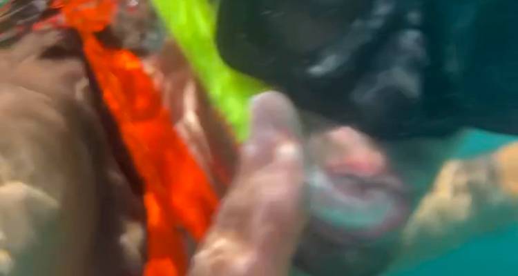 Selfie flou sous l'eau avec équipement de plongée avec tuba.