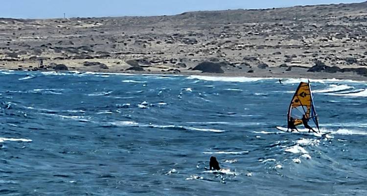 Planche à voile sur l'océan avec un terrain vallonné en arrière-plan.