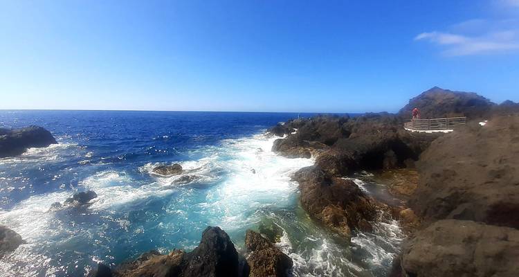 Côte rocheuse avec des vagues océaniques qui se brisent.