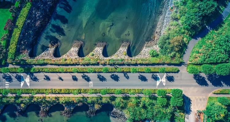Vue aérienne d'un littoral avec une route et des arbres qui la bordent.