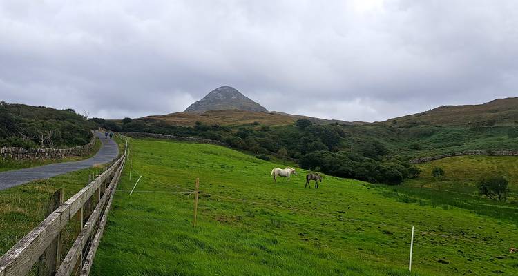 Un paysage pittoresque avec des chevaux qui paissent et une montagne en arrière-plan.