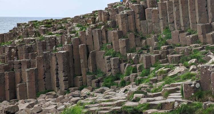 Gros plan des colonnes de la Chaussée des Géants avec un environnement verdoyant luxuriant.