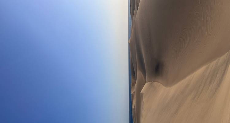 Vue panoramique de dunes de sable sous un ciel bleu limpide.