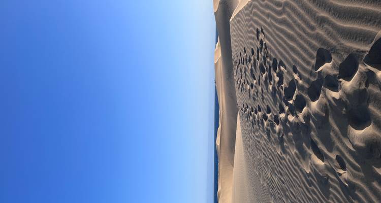 Vue expansive de dunes de sable avec des empreintes de pas sous un ciel bleu dégagé.