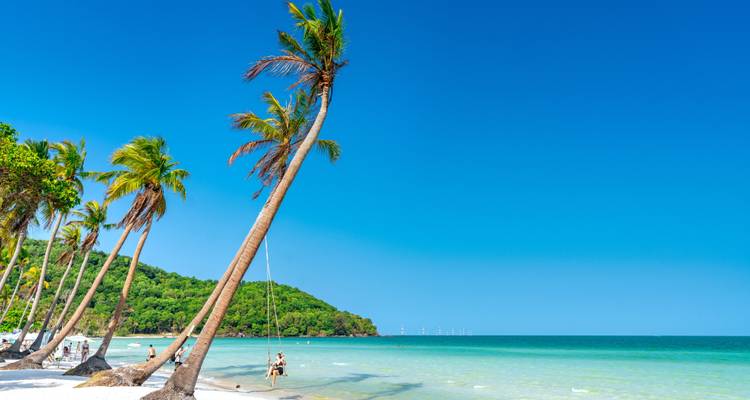 Palm tree-lined beach with a person on a swing over the sea.