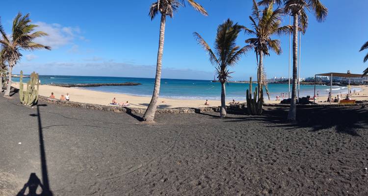 Une plage tropicale avec des palmiers, du sable volcanique et des vacanciers.