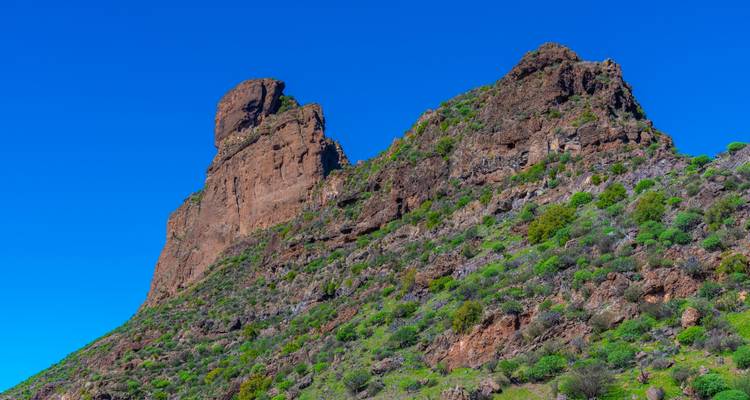 A rugged rock outcrop covered in greenery under a clear blue sky.