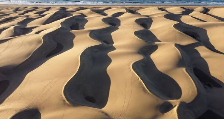 Undulating sand dunes with patterns of light and shadow.