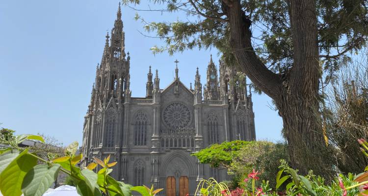 A Gothic-style church surrounded by lush greenery.