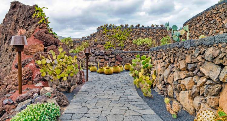 Sentier entouré de cactus et de roches volcaniques.