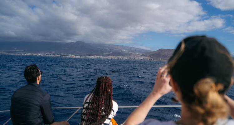 Des gens sur un bateau regardant une côte lointaine avec des montagnes.