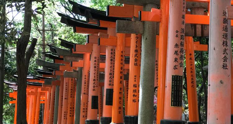 A pathway lined with traditional torii gates in a forested area.