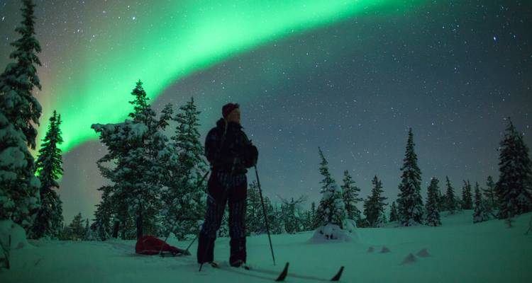 Northern lights with a person skiing in a snowy forest.