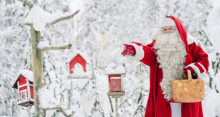 Santa Claus throwing feed in a snowy forest with birdhouses.