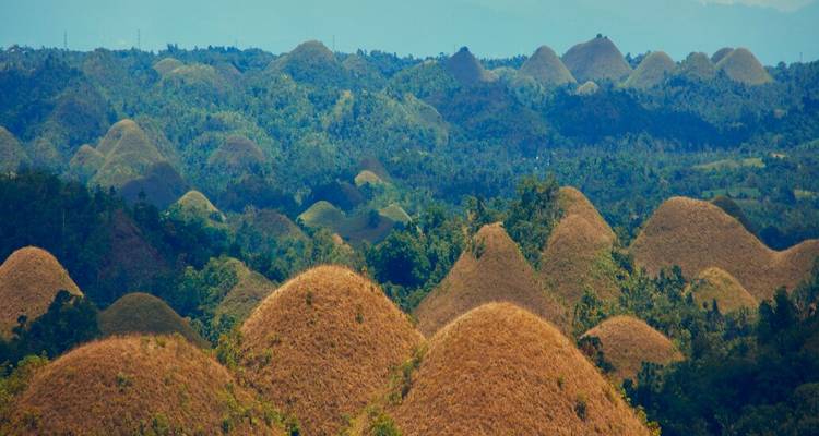 Des collines de chocolat ondulantes couvertes d'herbe verte et dorée s'étendant à travers le paysage de Bohol.