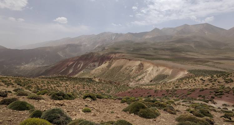 Trockene Landschaft mit sanften Hügeln und spärlicher Vegetation.