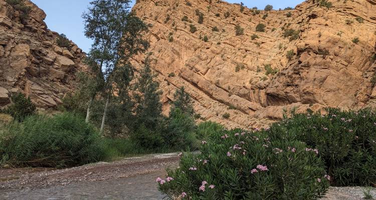 Schroffe Flussschlucht mit großen Felswänden.