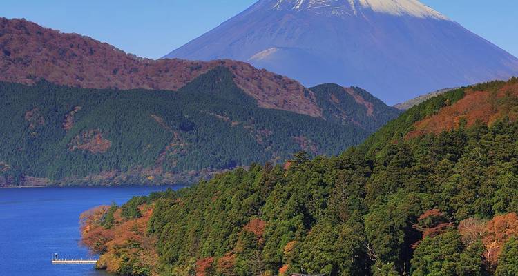Vue panoramique du mont Fuji avec des arbres et un lac au premier plan.