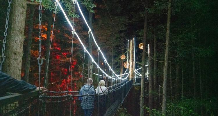 Nächtlicher Baumkronenpfad im Wald, beleuchtet von weißen Lichterketten, mit Besuchern, die über eine Hängebrücke spazieren.