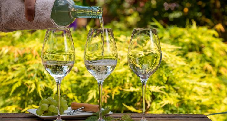 Un serveur versant du vin blanc dans des verres sur une table en plein air avec des raisins et un arrière-plan de jardin luxuriant dans un vignoble de Nouvelle-Zélande