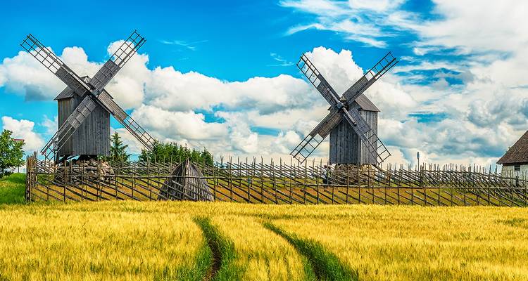 Deux moulins à vent traditionnels en bois dans un champ de blé avec un ciel nuageux.
