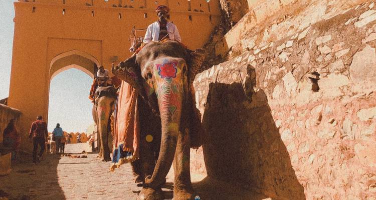 Olifant die loopt met een berijder, versierd met verf nabij een historisch fort.