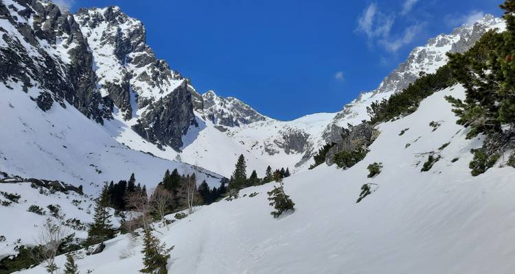 Mountain range covered in snow under a blue sky.