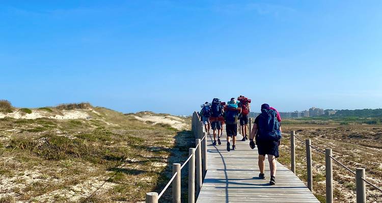 Groupe de randonneurs marchant le long d'une passerelle en bois