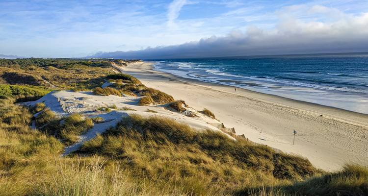 Plage de sable avec dunes couvertes d'herbe et océan bleu.