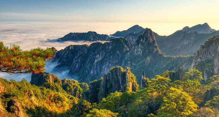 Un paysage montagneux à couper le souffle avec du brouillard et une végétation dense.
