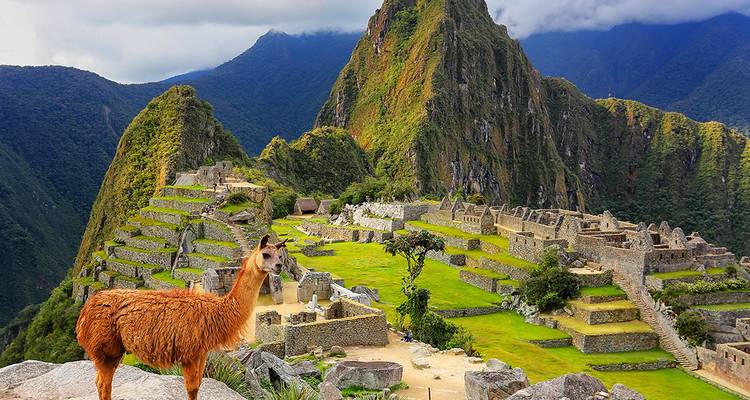 Site antique montagneux avec un lama.