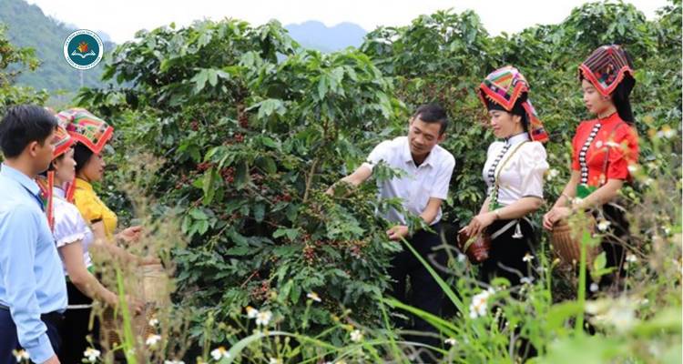 Groupe de personnes cueillant des grains de café dans une plantation.