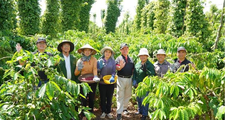 Groupe de personnes posant dans une plantation de café.