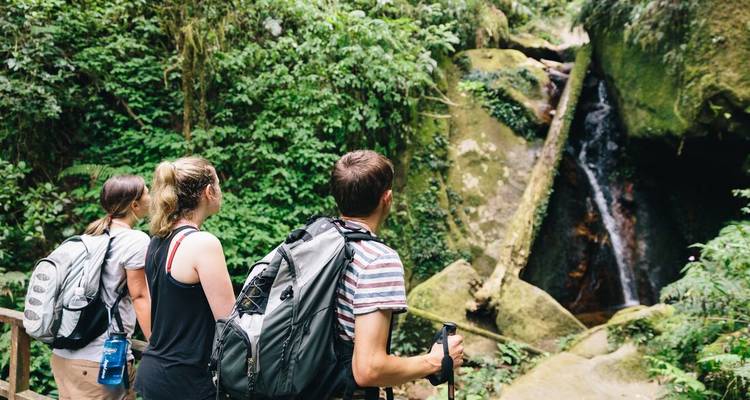 Des randonneurs observant une cascade dans une forêt luxuriante.