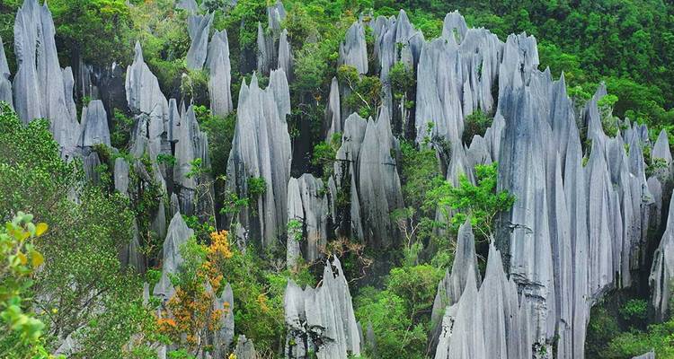 Formations calcaires entourées d'une jungle dense.