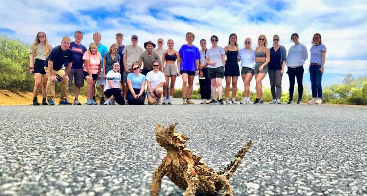 Gran grupo de turistas posando en la carretera con un pequeño lagarto diablo espinoso en primer plano en un paisaje desértico