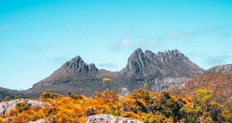 Les pics aigus et dentelés de la Cradle Mountain s'élèvent au-dessus des arbustes alpins sous un ciel bleu éclatant.