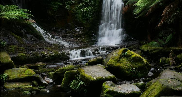 Scenic waterfall surrounded by lush greenery.