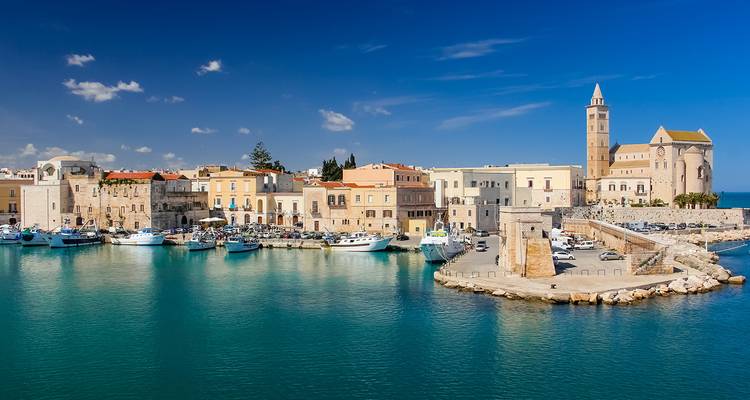 Vue côtière d'une ville historique avec une église et un port de plaisance.
