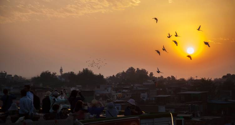 Sunset with flying birds over cityscape.