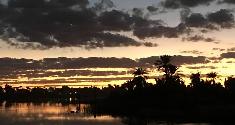 Sunset over a river with silhouetted palm trees.